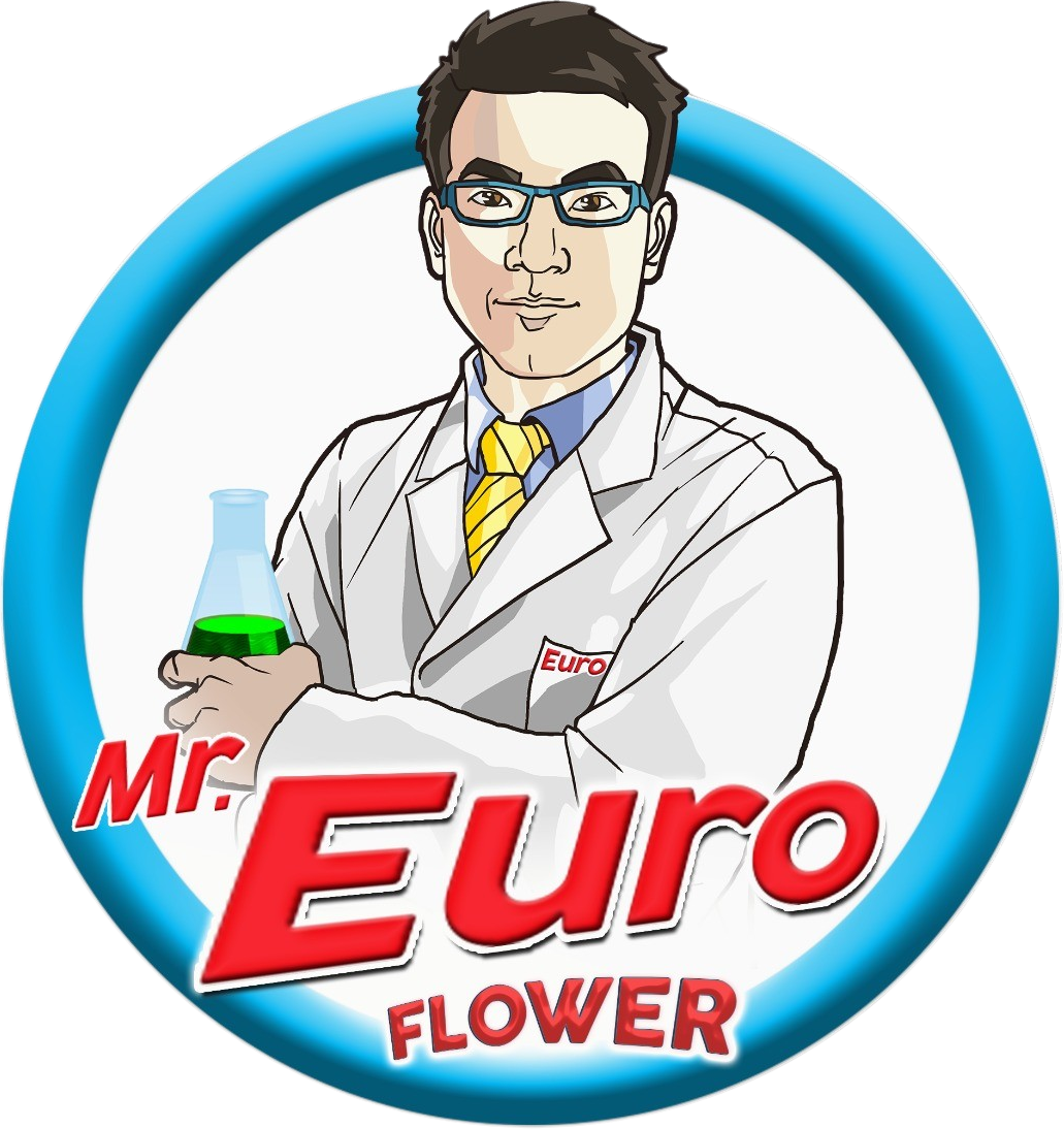 Euroflower